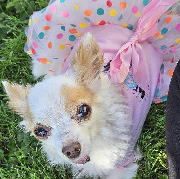 Meet your Posher, Katie - Picture 6 of 16